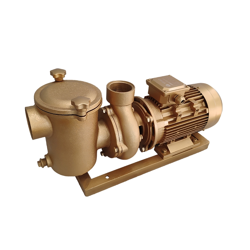 BP Series copper pump(3HP)
